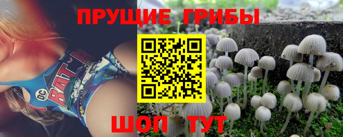 Псилоцибиновые грибы MAGIC MUSHROOMS Туймазы